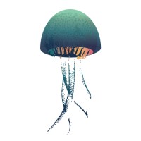 Luisovich logo - Similar company to Euphorianet