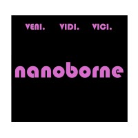 Nanoborne LLC logo - Similar company to Pattern Materials Graphene