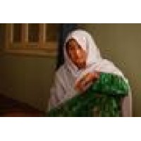 Tiger Nest Films Ltd logo - Similar company to Default Media Group