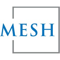 MESH Partners logo - Similar company to Holmes Equity