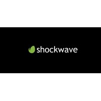 Shockwave logo - Similar company to Shockwave