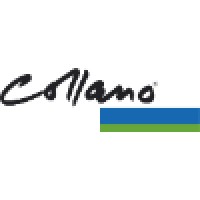 Collano AG logo - Similar company to Relmos Executive Services