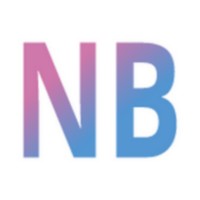 NannyBoom logo - Similar company to Intrapole