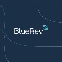 BlueRev logo - Similar company to Skillbill Project