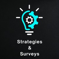 Strategies & Surveys logo - Similar company to Studio Greco