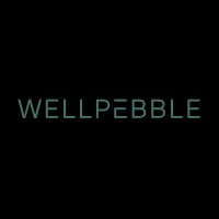 WellPebble logo - Similar company to Creative Web Solutions, Llc