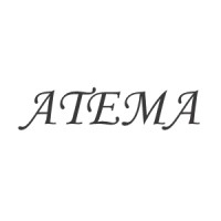 Atema Holdings logo - Similar company to Forziq Sdn Bhd