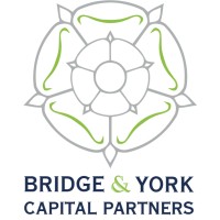 Bridge & York Capital Partners logo - Similar company to Grupa Zamel