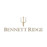 Bennett Ridge LLC logo - Similar company to Agora
