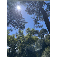 F2I logo - Similar company to Sopic