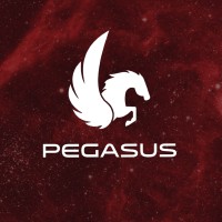 Pegasus | Data Consulting logo - Similar company to Generatica S.A.
