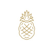 Anana Consultants logo - Similar company to Sorbit