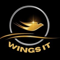 Wings IT logo - Similar company to Wings It