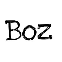 Boz logo - Similar company to Dxlab