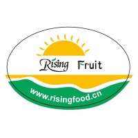 JINING RISING INTERNATIONAL TRADING CO.,LTD logo - Similar company to Ab Fresh Company