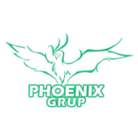 Phoenix Grup logo - Similar company to Micropower_Srl