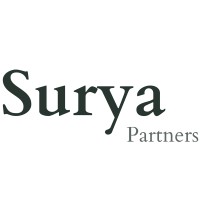 Surya Partners, LLC logo - Similar company to Surya Tecnologia