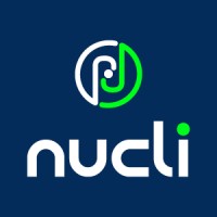 Nucli logo - Similar company to Nucli Experts