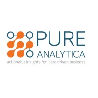 Pure Analytica logo - Similar company to Skyfall Enterprises