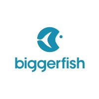BiggerFish Bookkeeping logo - Similar company to Wellwards