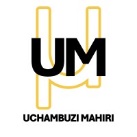 Uchambuzi Mahiri logo - Similar company to Suvence Technologies Limited