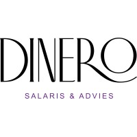 Dinero Salaris & Advies logo - Similar company to Byte24