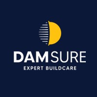 Damsure logo - Similar company to Dfine Digital Solutions