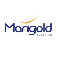 Marigold Aviation logo - Similar company to Colorcode