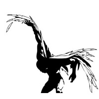 Icaruswings