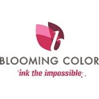 Graphics Plus is now Blooming Color logo - Similar company to Flashplay Studios