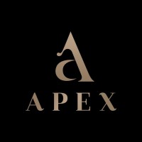 Apex India logo - Similar company to Tech Build