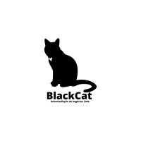 BlackCat IN logo - Similar company to Dirac Solutions