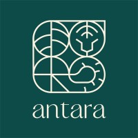 ANTARA DECOR logo - Similar company to Elevate Designs