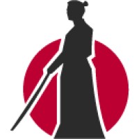 iRonin – Software House logo - Similar company to Webmakers Software House