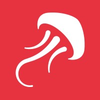 BIG JELLYFISH logo - Similar company to Flopicco Design Studio