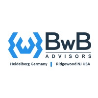 BwB Advisors logo - Similar company to 360 Digitale Transformation
