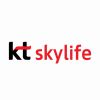 KT Skylife (케이티스카이라이프) logo - Similar company to Kt Ena