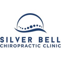 Silver Bell Chiropractic logo - Similar company to Team Waters