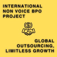 International Non Voice Project logo - Similar company to Bpo Project Partner