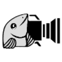 Professional Video, LLC