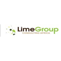 Lime Group Consulting Africa logo - Similar company to Doctor Little