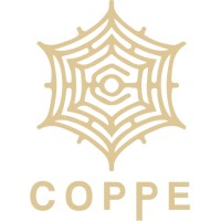 Coppe | Information and Cyber Security Consulting logo - Similar company to Workforce One
