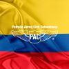 Patrulla Aérea Civil Colombiana logo - Similar company to S&G Energy