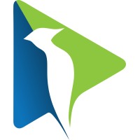 Picoides Designs Pvt Ltd logo - Similar company to Noesis Concepts