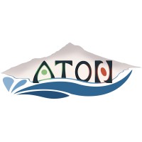 Aton Technology Brokers, LLC logo - Similar company to Forestel, A Bluewave Company