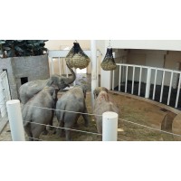 LLL logo - Similar company to Lll Tech Consulting Llc