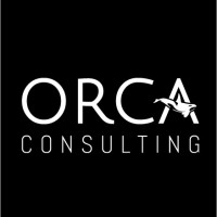 Orca Consulting logo - Similar company to Orca Consulting