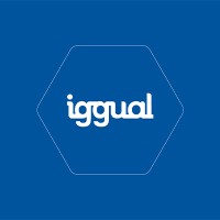 iggual logo - Similar company to Colors Information Technology Spain