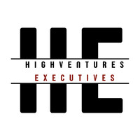 Highventures Executives logo - Similar company to Discovery Support Services Llc