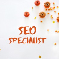 SEO Specialist 244 logo - Similar company to David Media Solutions